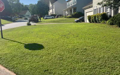 Photo of Julie M.'s yard after getting lawn care in Five Forks, SC