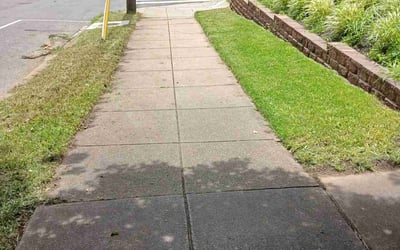 Photo of Reyna P.'s yard after getting lawn care in Davison, MI