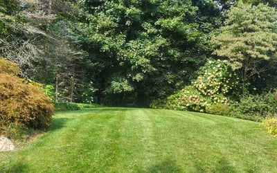 Photo of Austin T.'s yard after getting lawn care in Wayland, MA