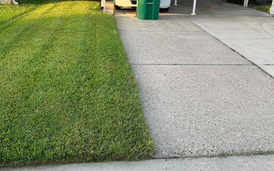 Photo of Stephanie B.'s yard after getting lawn care in Metairie, LA