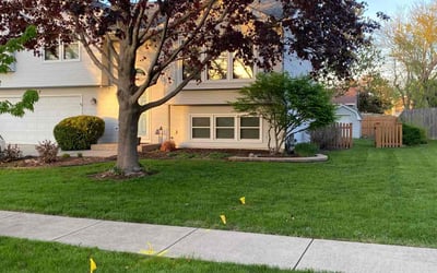 Photo of Trisane M.'s yard after getting lawn care in Joliet, IL