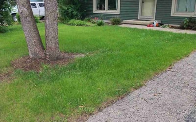 Photo of Emily S.'s yard after getting lawn care in Monroe, WI