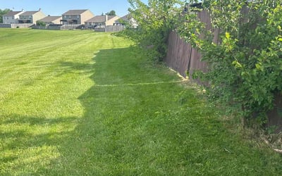 Photo of Teri S.'s yard after getting lawn care in Exton, PA