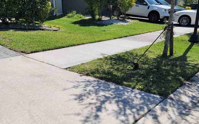 Photo of Brooke B.'s yard after getting lawn care in Wesley Chapel, FL