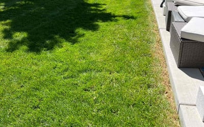 Photo of Veronica P.'s yard after getting lawn care in Rockledge, FL
