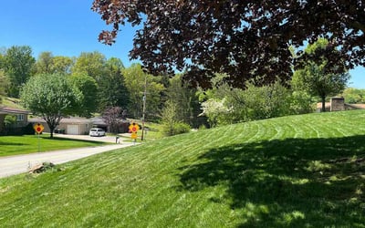 Photo of LeLita T.'s yard after getting lawn care in Glenshaw, PA