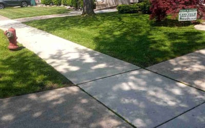 Photo of Sarah D.'s yard after getting lawn care in Lincoln Park, MI