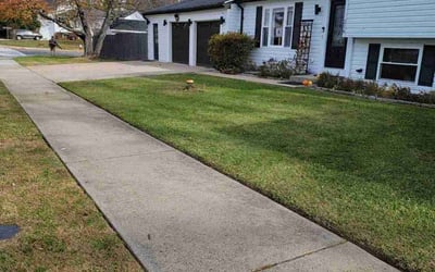 Photo of Willie T.'s yard after getting lawn care in McLean, VA
