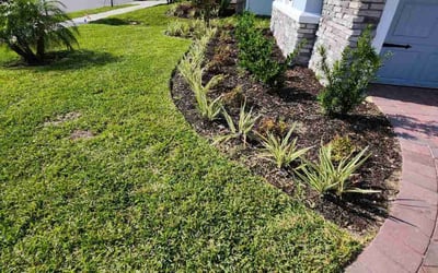 Photo of Matthew E.'s yard after getting lawn care in Sebastian, FL
