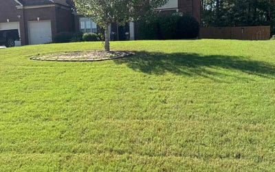 Photo of Amber H.'s yard after getting lawn care in Stockbridge, GA