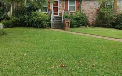 Photo of Catherine F.'s yard after getting lawn care in Pleasant View, TN