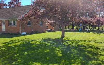 Photo of Sophia L.'s yard after getting lawn care in Charlotte, NC