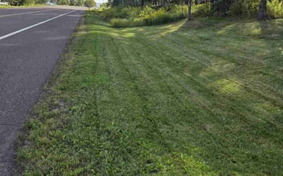 Photo of Lara P.'s yard after getting lawn care in Duluth, MN