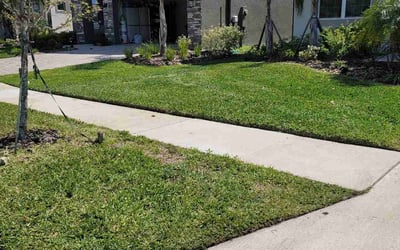 Photo of Mark K.'s yard after getting lawn care in Zephyrhills, FL
