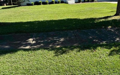 Photo of Julia S.'s yard after getting lawn care in Garner, NC