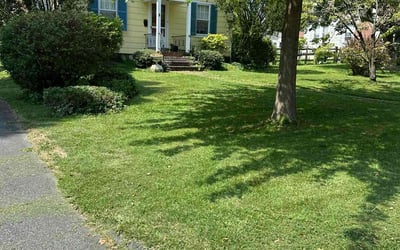 Photo of Michele C.'s yard after getting lawn care in Towson, MD