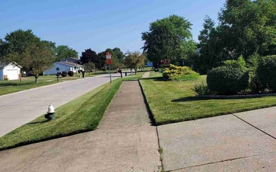 Photo of David S.'s yard after getting lawn care in Hinckley, OH