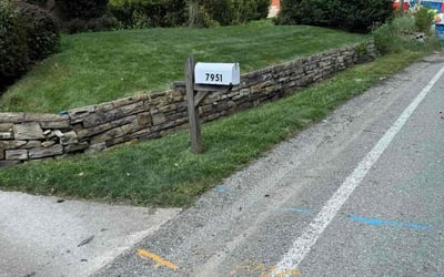 Photo of John O.'s yard after getting lawn care in Baden, PA