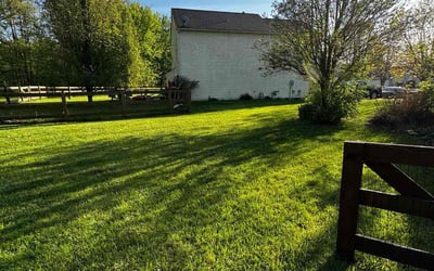 Photo of Juanita A.'s yard after getting lawn care in Loveland, OH