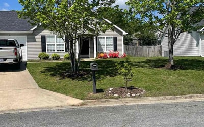 Photo of Jim B.'s yard after getting lawn care in Reidsville, NC