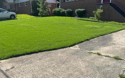 Photo of Linda O.'s yard after getting lawn care in Liberty, MO