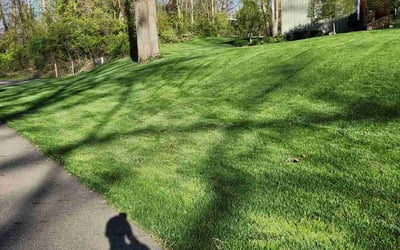 Photo of Cortney W.'s yard after getting lawn care in Circleville, OH
