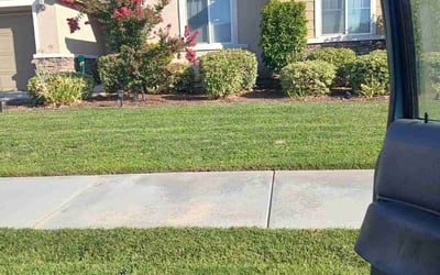 Photo of Willa W.'s yard after getting lawn care in Hemet, CA