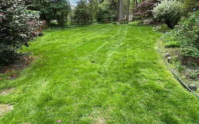 Photo of James D.'s yard after getting lawn care in Falls Church, VA