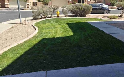 Photo of Jennifer O.'s yard after getting lawn care in Glendale, AZ