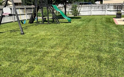 Photo of Brenda L.'s yard after getting lawn care in Andover, KS