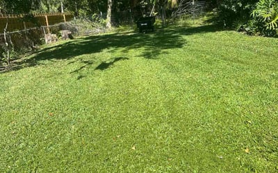 Photo of Sofia R.'s yard after getting lawn care in Winter Haven, FL