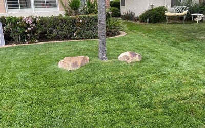 Photo of Amanda R.'s yard after getting lawn care in Banning, CA