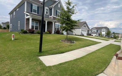 Photo of Cindy W.'s yard after getting lawn care in Great Falls, SC