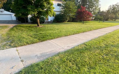 Photo of Marie A.'s yard after getting lawn care in Milford, MI