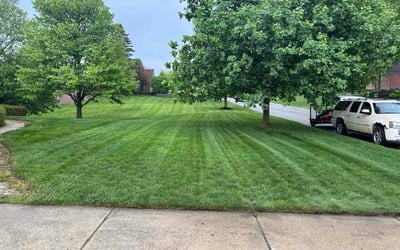 Photo of Yousef M.'s yard after getting lawn care in Allen Park, MI