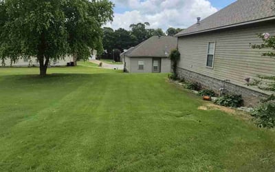 Photo of Kate H.'s yard after getting lawn care in Centereach, NY