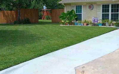 Photo of Liang H.'s yard after getting lawn care in Lubbock, TX