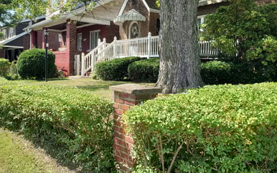Photo of Xan G.'s yard after getting lawn care in Marion, IA