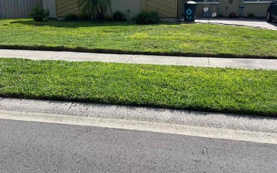 Photo of Sparkle W.'s yard after getting lawn care in Haslet, TX