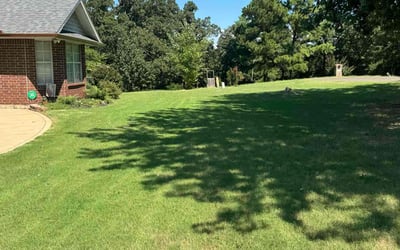 Photo of Nick W.'s yard after getting lawn care in Manlius, NY
