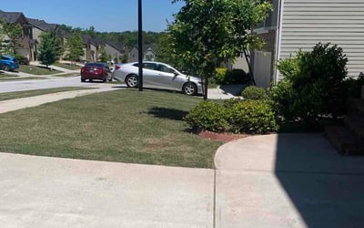 Photo of Rachel R.'s yard after getting lawn care in Burbank, IL