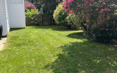 Photo of Elaine M.'s yard after getting lawn care in Newport News, VA