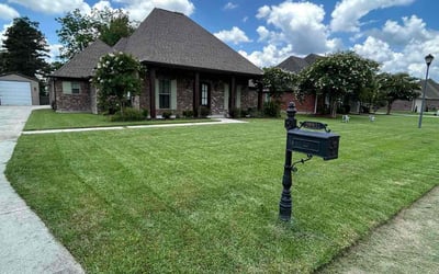 Photo of Kim H.'s yard after getting lawn care in Texarkana, AR