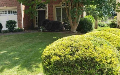 Photo of Brandon H.'s yard after getting lawn care in Jacksonville, FL