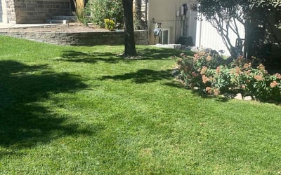 Photo of John B.'s yard after getting lawn care in Lehi, UT