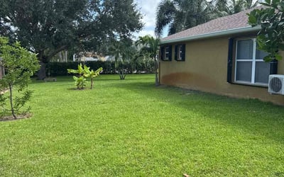 Photo of Ashlyn B.'s yard after getting lawn care in La Vergne, TN