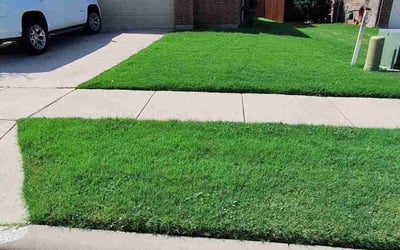 Photo of Karen H.'s yard after getting lawn care in Rego Park, NY