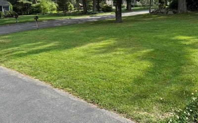 Photo of Larry S.'s yard after getting lawn care in Sanger, TX