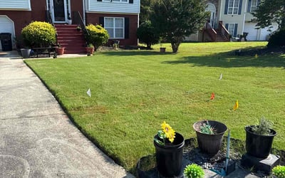 Photo of Ellen S.'s yard after getting lawn care in Pasadena, MD