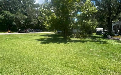 Photo of Diane A.'s yard after getting lawn care in Little Falls, NJ